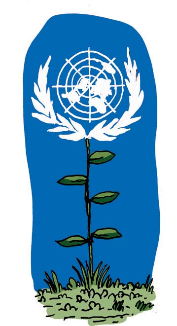 Quand l’ONU s’intéresse (enfin) au sol
