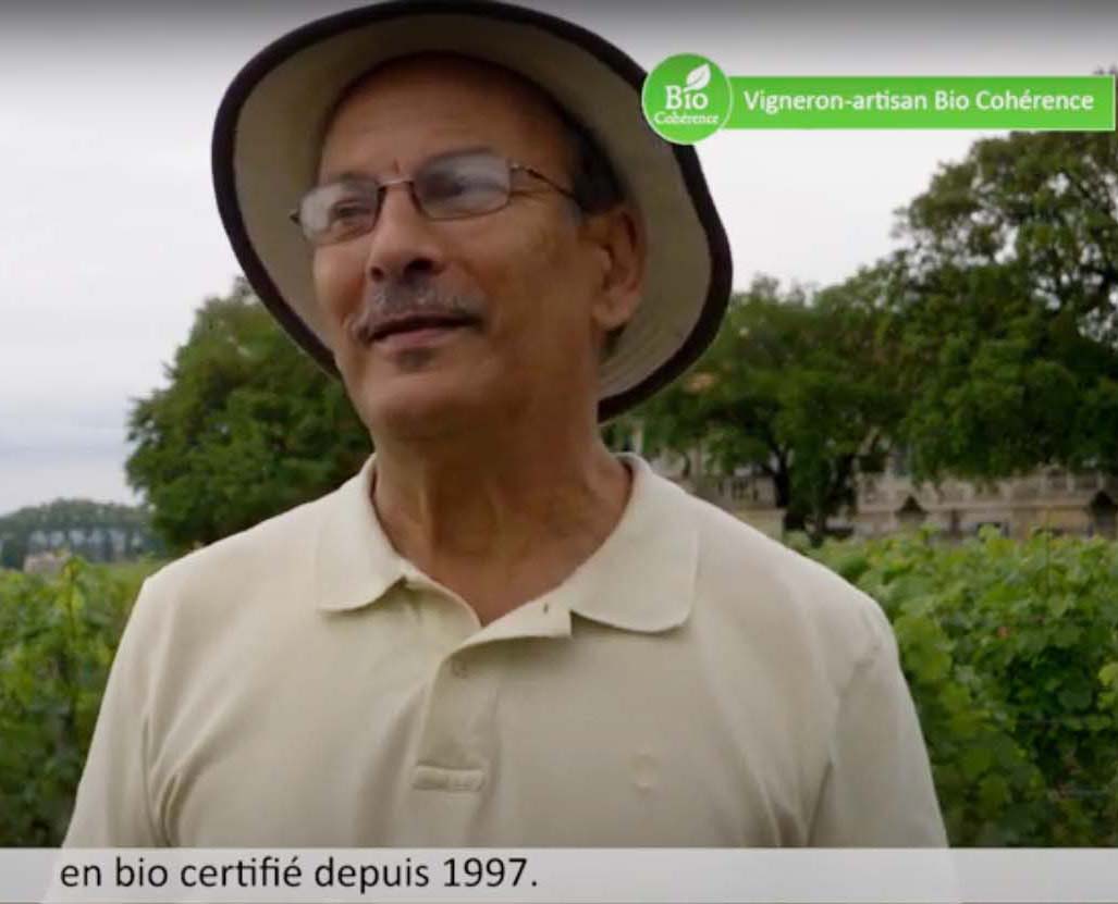 bio cohérence viticulture - recadré